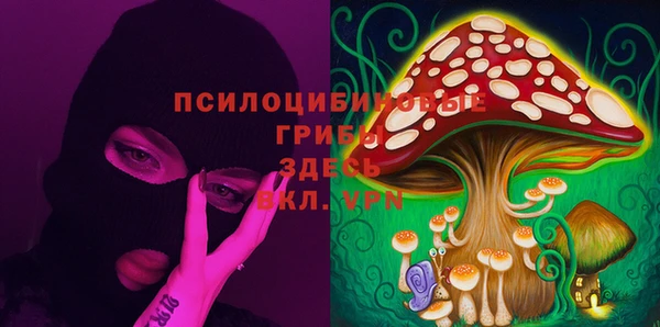 PSILOCYBIN Белоозёрский